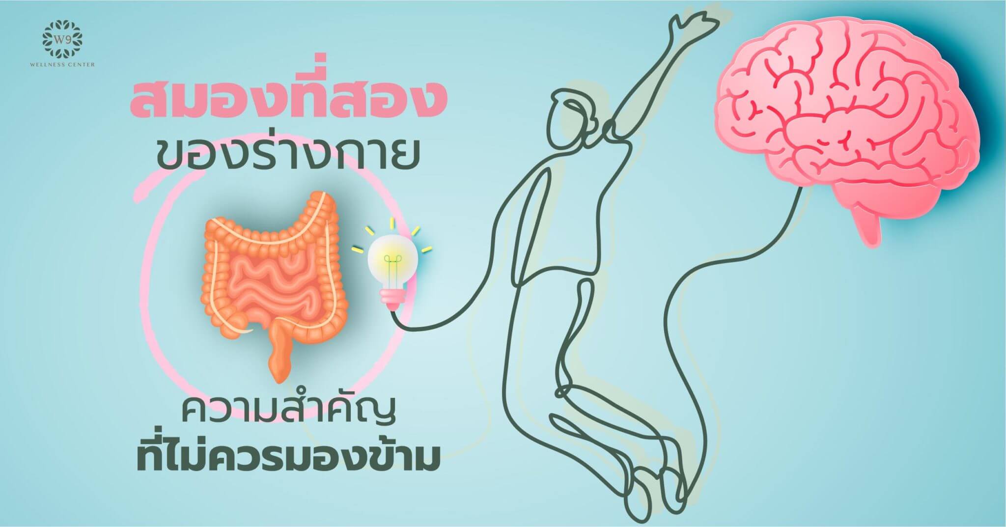 สมดุลลำไส้