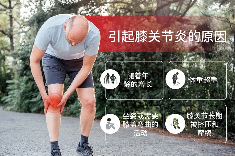 干细胞
