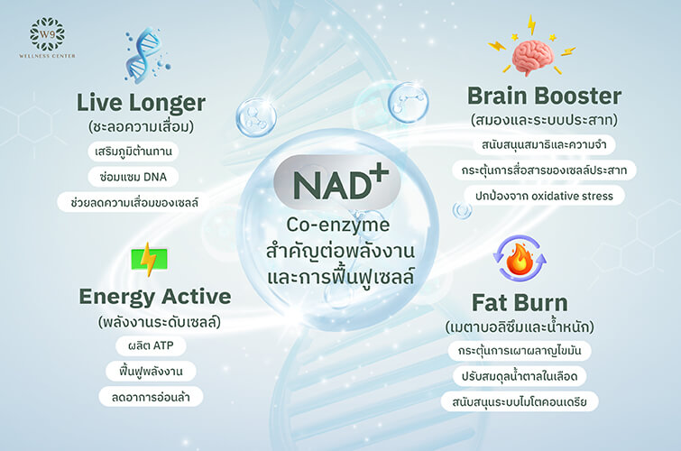 NAD+ Therapy