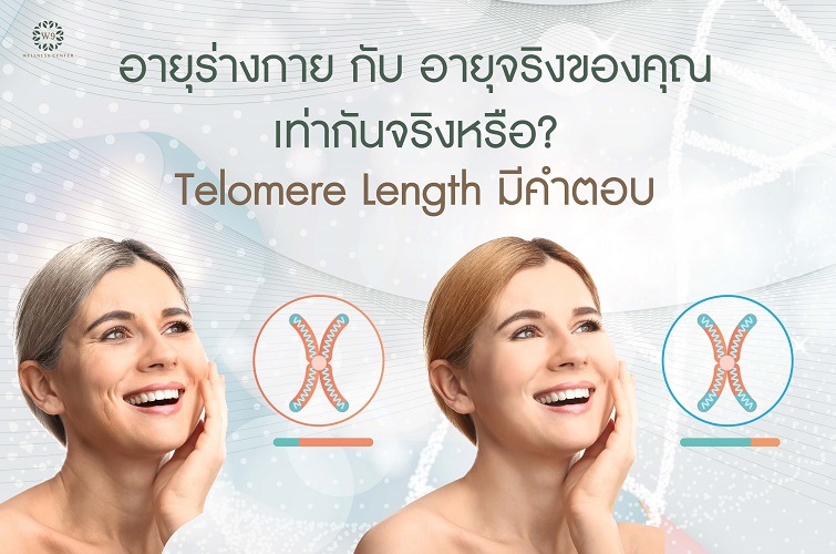 ช้อปดีมีคืน