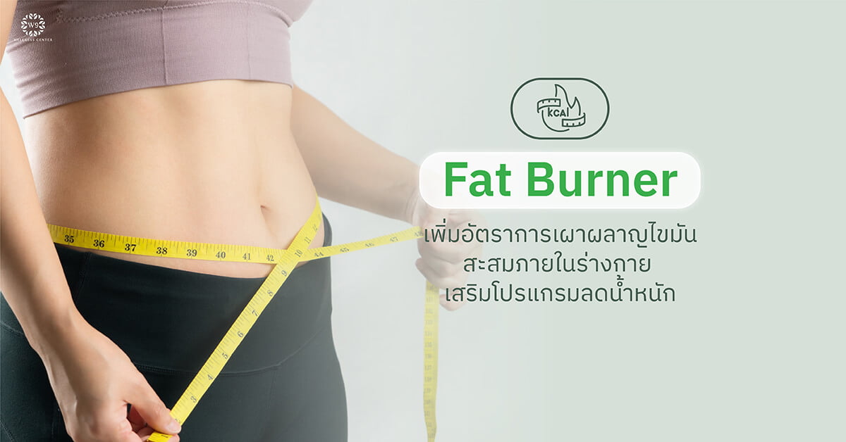 Fat Burner เพิ่มอัตราการเผาผลาญไขมันสะสมภายในร่างกาย เสริมโปรแกรมลดน้ำหนัก