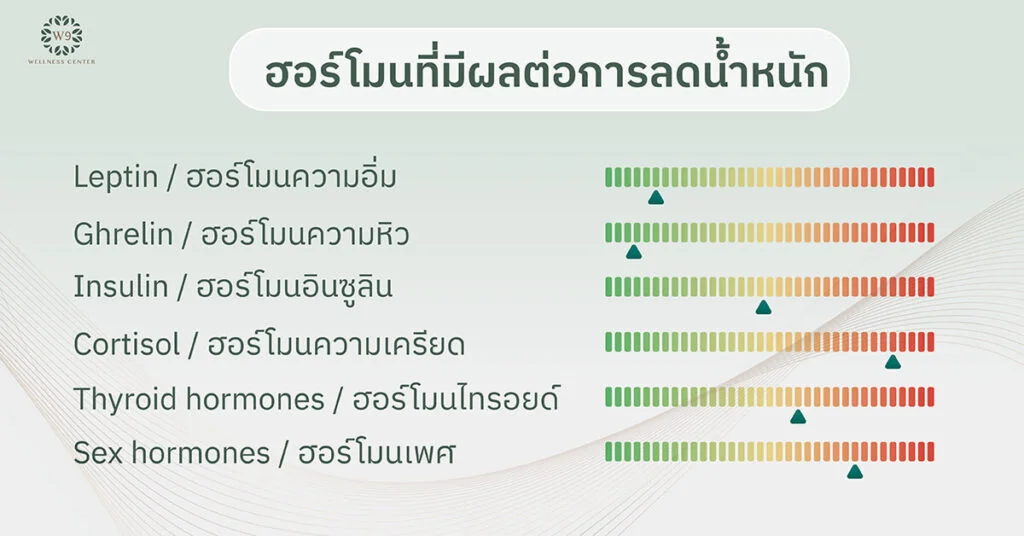 สมดุลฮอร์โมนลดน้ำหนัก