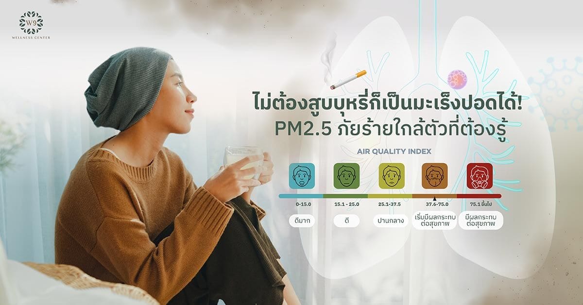 ฝุ่น PM 2.5 มะเร็งปอด