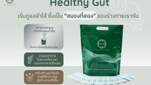 Healthy Gut Powder