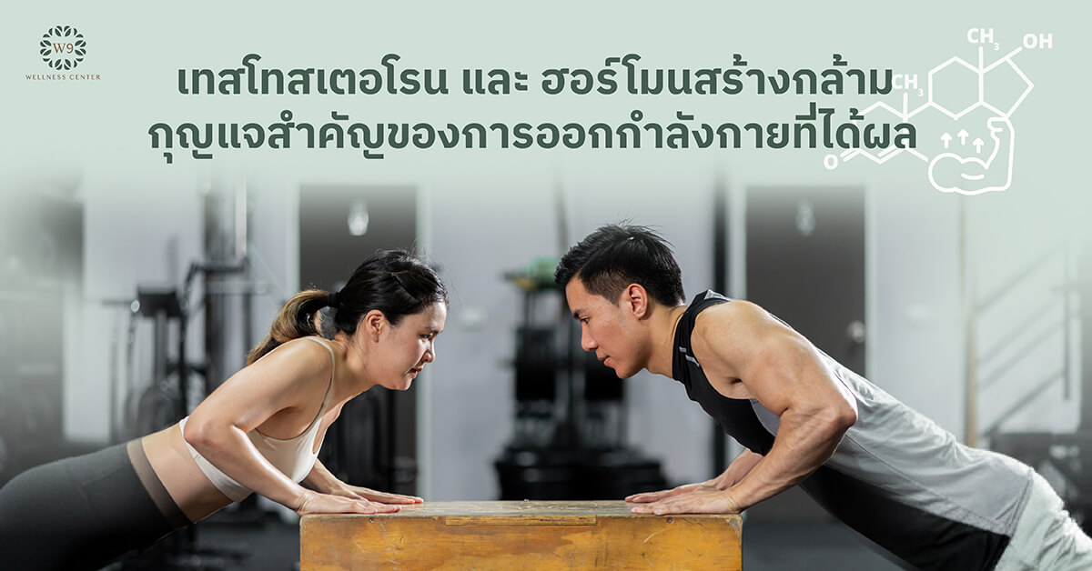 เทสโทสเตอโรน & ฮอร์โมนสร้างกล้าม