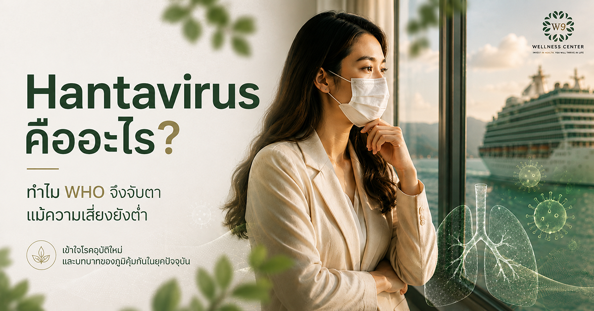 ฮันตาไวรัส hantavirus