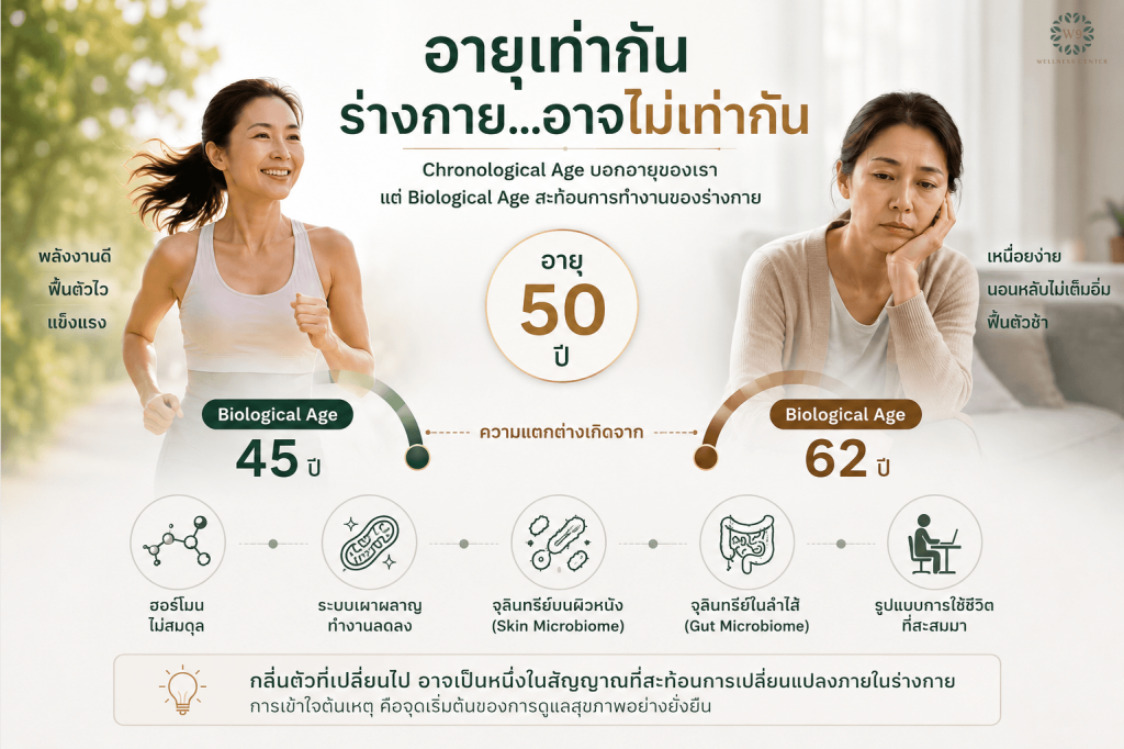 กลิ่นแก่